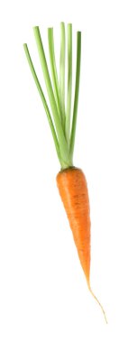 Taze olgun bir havuç beyazda izole edilmiş.