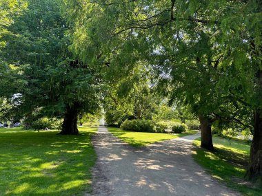 Güneşli bir günde parkta güzel bir patika manzarası ve yeşil ağaçlar.