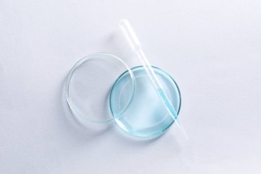 Beyaz arka planda pipet ve petri kabını transfer et, üst görünüm