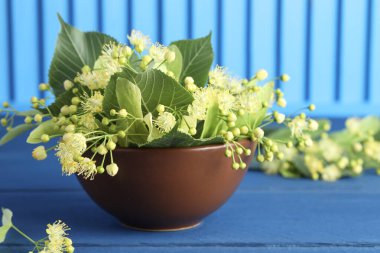 Taze ıhlamur yaprakları ve çiçekler mavi ahşap masada kasede.