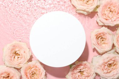 Güzel gül çiçekleri ve yuvarlak şekilli podyum pembe arka planda suda, düz yatıyordu.