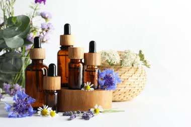 Aromaterapi. Beyaz arka planda farklı temel yağlar, okaliptüs yaprakları ve çiçekler