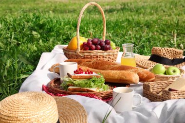 Piknik sepeti, farklı atıştırmalıklar, meyve suyu ve yeşil çimlerin üzerinde şapka.