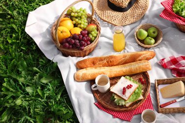 Piknik sepeti, farklı atıştırmalıklar, meyve suyu ve yeşil çimlerin üzerinde şapka.