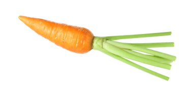 Taze olgun bir havuç beyazda izole edilmiş.