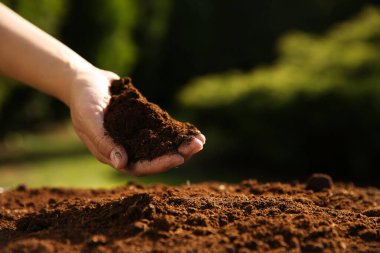 Dışarıda toprak yığını tutan bir kadın, yakın çekim. Metin için alan