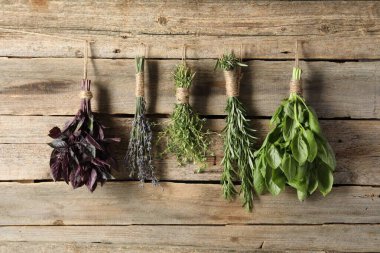 Ahşap duvarın yanında ipte asılı farklı aromatik otlar var.