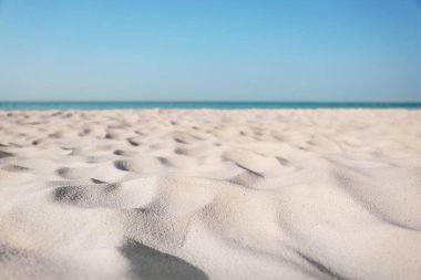 Güneşli bir günde güzel kumlu sahil ve deniz. Yaz tatili