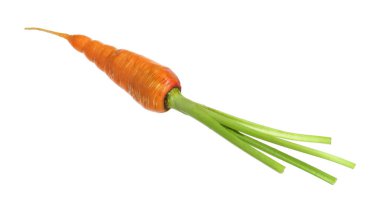 Taze olgun bir havuç beyazda izole edilmiş.