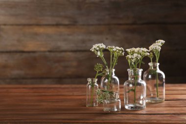 Ahşap masadaki cam şişelerde yarrow çiçekleri, metin için yer