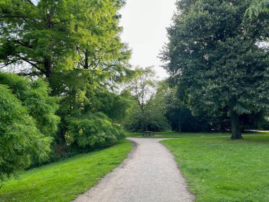 Patikalı ve ağaçlı güzel bir park manzarası.