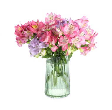 Vazodaki güzel alstroemeria çiçekleri beyaza izole edilmiş.