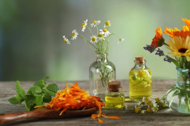 Farklı çiçekler, nane ve ahşap masa üzerinde gerekli yağlar.