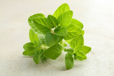 Açık dokulu masada taze yeşil keklik otu, yakın plan.