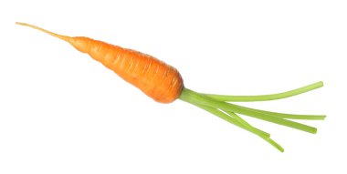 Taze olgun bir havuç beyazda izole edilmiş.