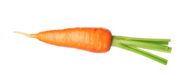 Taze olgun bir havuç beyazda izole edilmiş.