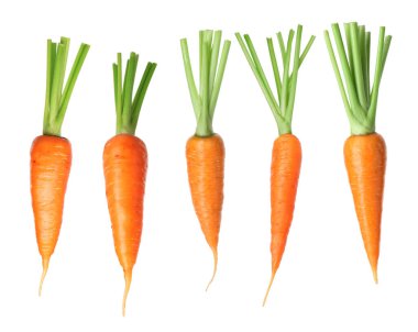 Beyazlar üzerinde izole edilmiş taze taze havuçlar.