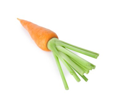 Taze olgun bir havuç beyazda izole edilmiş.