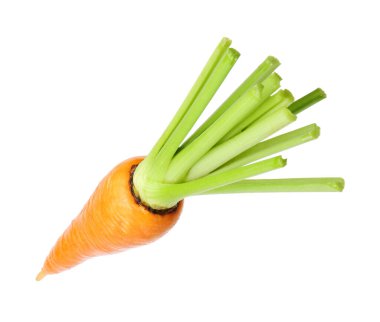 Taze olgun bir havuç beyazda izole edilmiş.