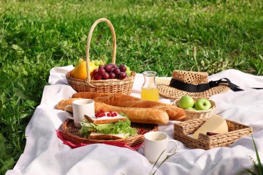 Piknik sepeti, farklı atıştırmalıklar, meyve suyu ve yeşil çimlerin üzerinde şapka.