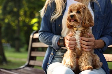 Parktaki bankta sevimli köpekli kadın, yakın plan.