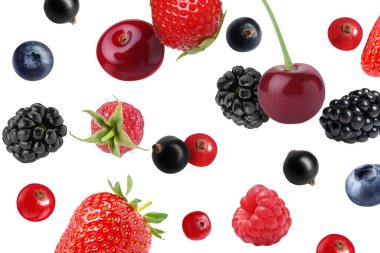 Beyaz arka planda farklı taze meyveler