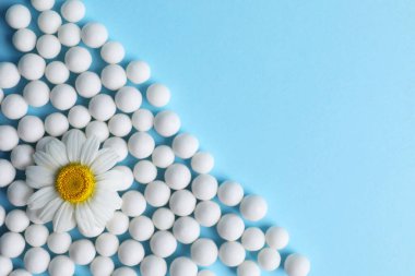 Homeopati. Açık mavi arka planda bir sürü hap ve papatya çiçeği. Metin için boşluk