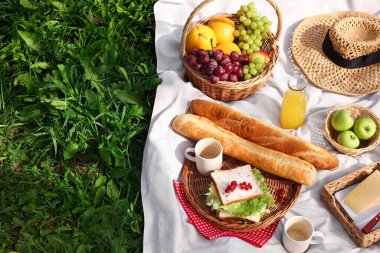 Piknik sepeti, farklı atıştırmalıklar, meyve suyu ve yeşil çimlerin üzerinde şapka, mesaj için yer