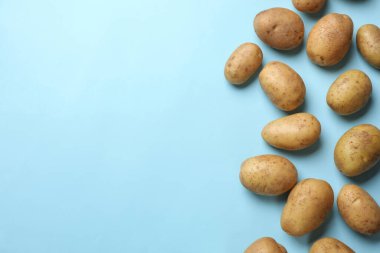 Açık mavi arka planda bir sürü taze patates, düz bir zemin. Metin için boşluk