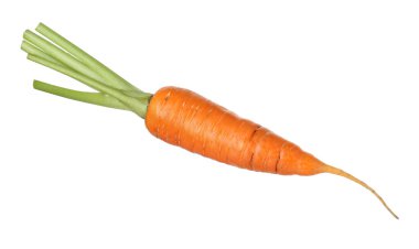 Taze olgun bir havuç beyazda izole edilmiş.