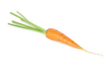 Taze olgun bir havuç beyazda izole edilmiş.