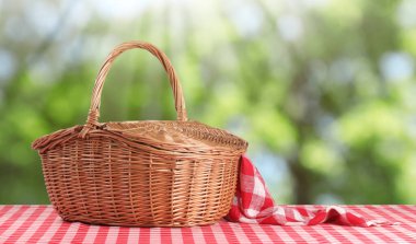 Kırmızı kareli peçeteli hasır piknik sepeti doğada, pankart tasarımı. Metin için boşluk