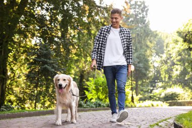 Mutlu sahibi dışarıda sevimli Golden Retriever köpeğiyle yürüyor, alçak açılı.