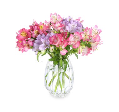 Vazodaki güzel alstroemeria çiçekleri beyaza izole edilmiş.