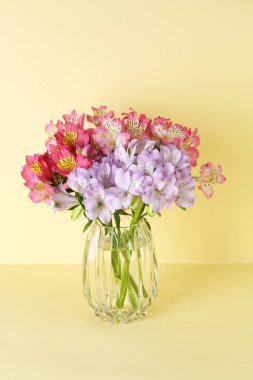 Bej arkaplanda vazoda güzel alstroemeria çiçekleri