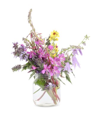 Beyaza izole edilmiş bir buket doğal şifalı bitki.