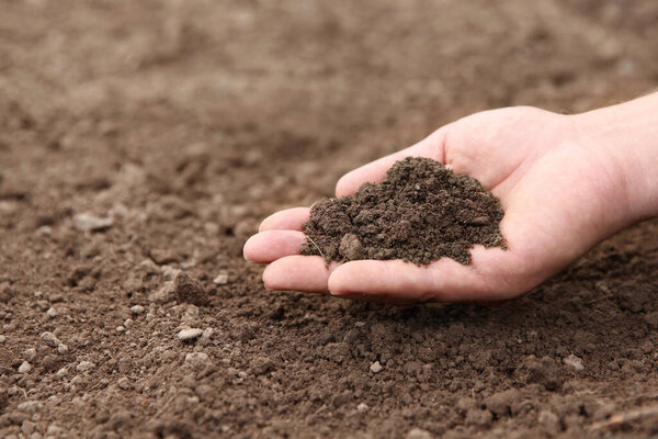 Woman holding pile of soil outdoors, closeup. Space for text