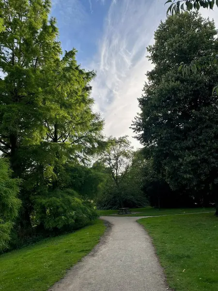 Patikalı ve ağaçlı güzel bir park manzarası.