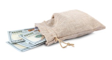 Çantadaki dolar banknotları beyaza izole edilmiş.