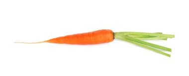 Taze olgun bir havuç beyazda izole edilmiş.