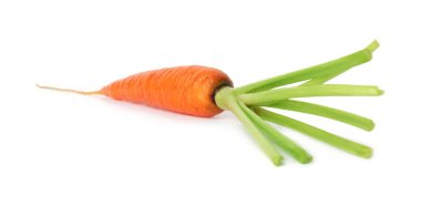 Taze olgun bir havuç beyazda izole edilmiş.