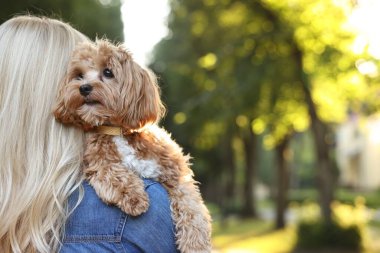 Parkta sevimli köpekli bir kadın, arka manzara. Metin için boşluk