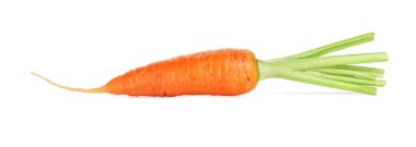 Taze olgun bir havuç beyazda izole edilmiş.