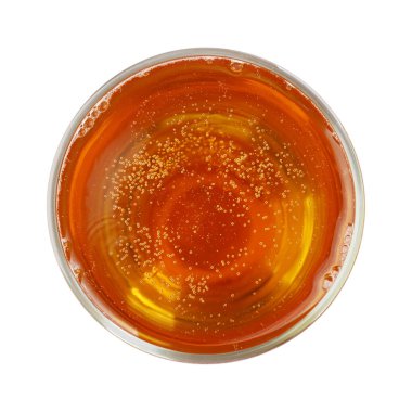 Bir bardak light bira izole edilmiş beyaz, üst manzara