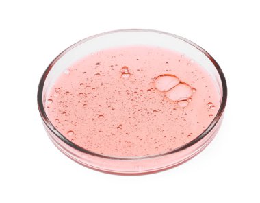 Beyaz üzerine izole edilmiş numune içeren petri kabı