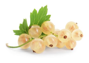 Taze kuşüzümü ve yeşil yaprak beyaza izole edilmiş.