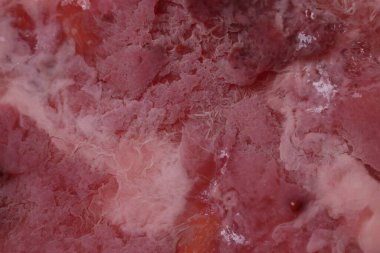 Arka plan olarak bakteri kültürü örneği, makro görünüm