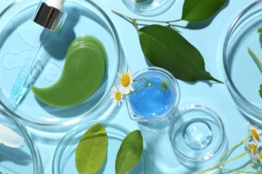 Farklı taze yaprakları olan petri kapları, papatya çiçekleri ve açık mavi arka planda kozmetik ürünleri.