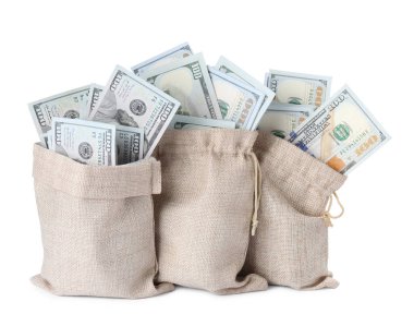 Beyaz torbalarda izole edilmiş dolar banknotları