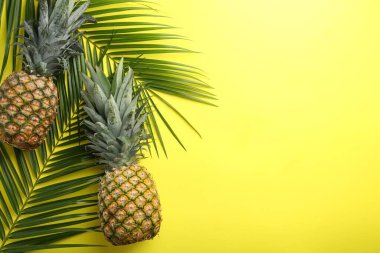 Sarı arka planda taze ananas ve palmiye yaprakları, üst manzara. Metin için boşluk